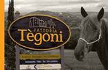 fattoria di tegoni small